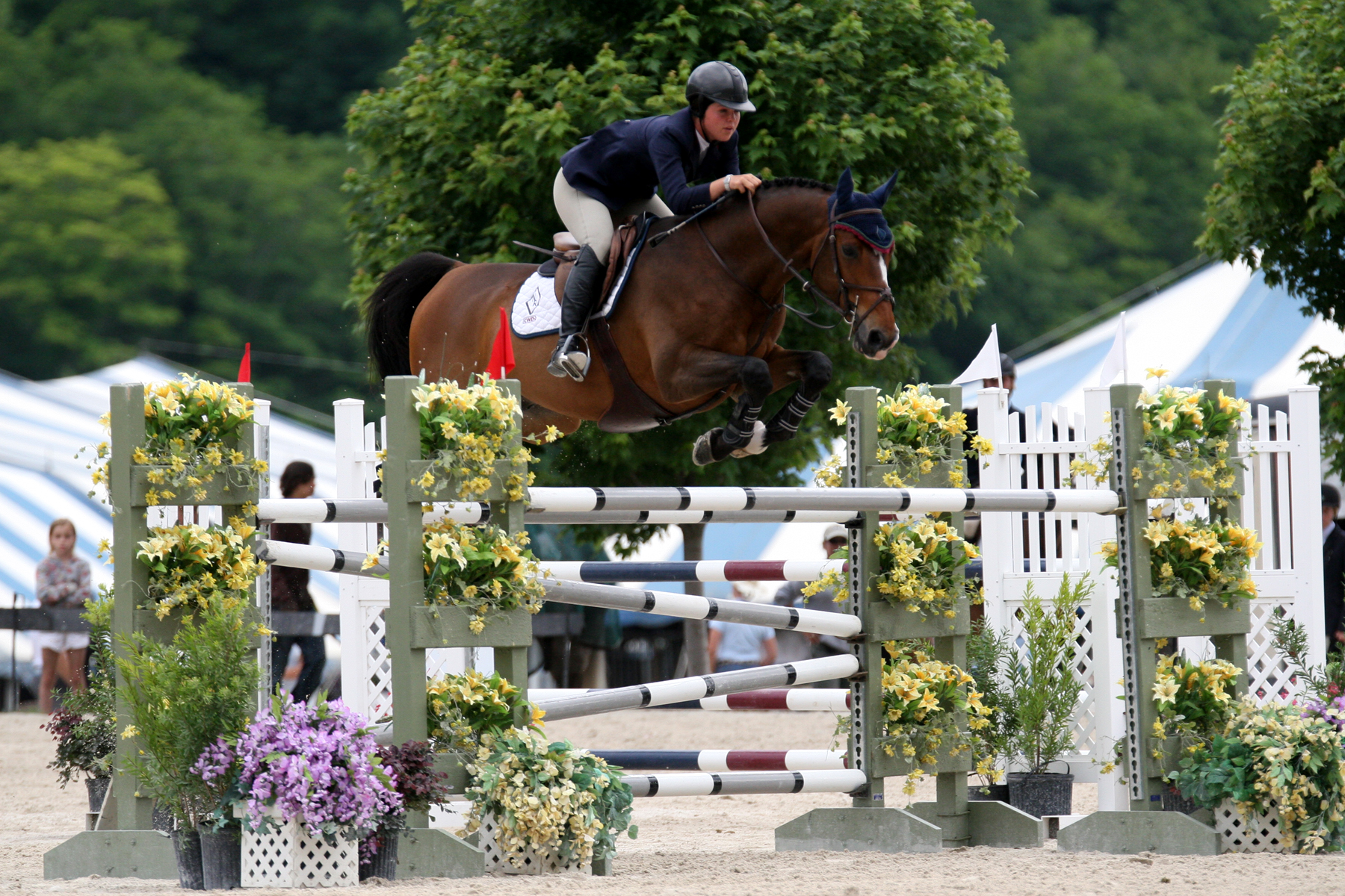 Dobbs Does It Again at Vermont Summer Festival Horse Show